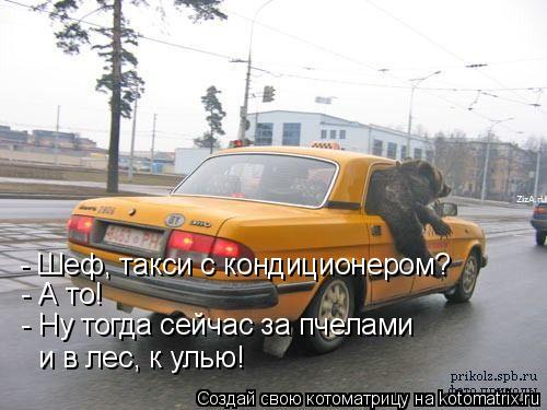 - Шеф, такси с кондиционером? - А то! - Ну тогда сейчас за пчелами и в лес, к улью!... Котоматрица: - Шеф, такси с кондиционером? - А то! - Ну тогда сейчас за пчелами и в лес, к улью!
