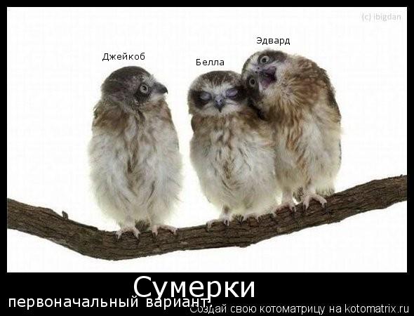 Сумерки Белла Эдвард Джейкоб первоначальный вариант.... Котоматрица: Сумерки Белла Эдвард Джейкоб первоначальный вариант.