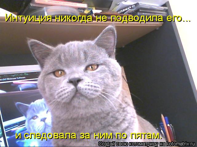 Интуиция никогда не подводила его... и следовала за ним по пятам…... Котоматрица: Интуиция никогда не подводила его... и следовала за ним по пятам…