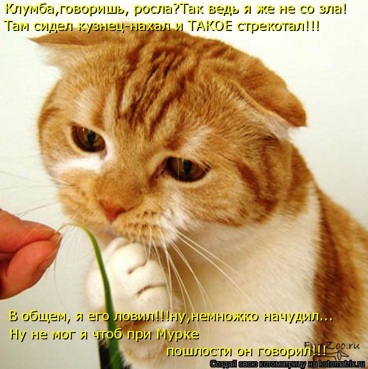 Там сидел кузнец-нахал и ТАКОЕ стрекотал!!! В общем, я его ловил!!!ну,немножко начудил... Ну не мог я... Котоматрица: Там сидел кузнец-нахал и ТАКОЕ стрекотал!!! В общем, я его ловил!!!ну,немножко начудил... Ну не мог я чтоб при Мурке Клумба,говоришь, росла?Так в