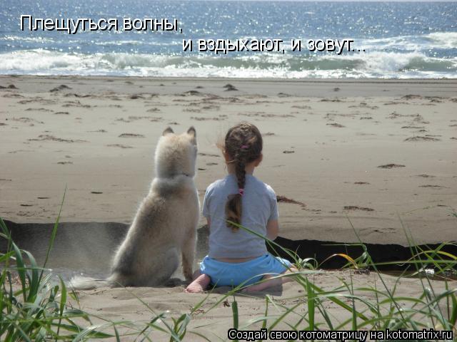 Плещуться волны, и вздыхают, и зовут...... Котоматрица: Плещуться волны, и вздыхают, и зовут...