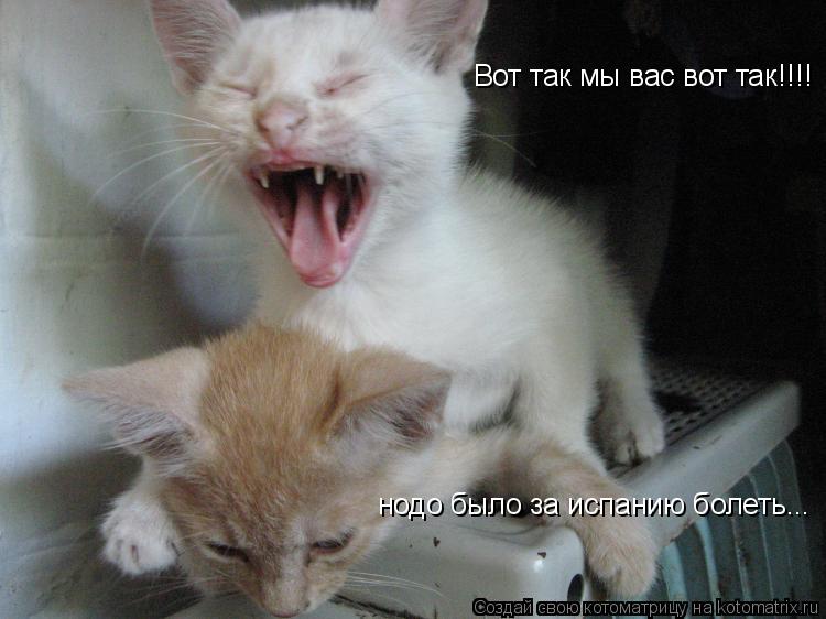 Вот так мы вас вот так!!!! нодо было за испанию болеть...... Котоматрица: Вот так мы вас вот так!!!! нодо было за испанию болеть...