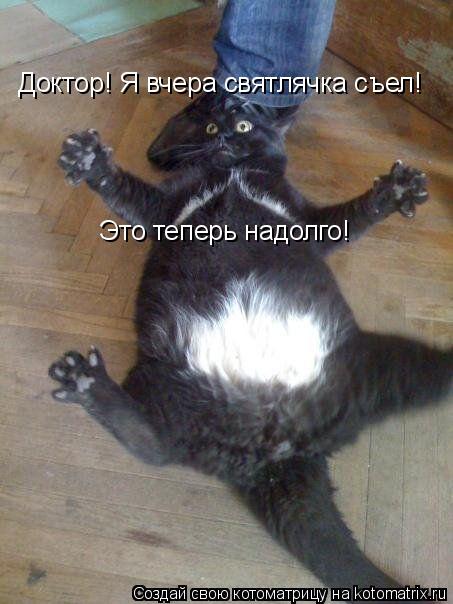 Доктор! Я вчера святлячка съел! Это теперь надолго!... Котоматрица: Доктор! Я вчера святлячка съел! Это теперь надолго!