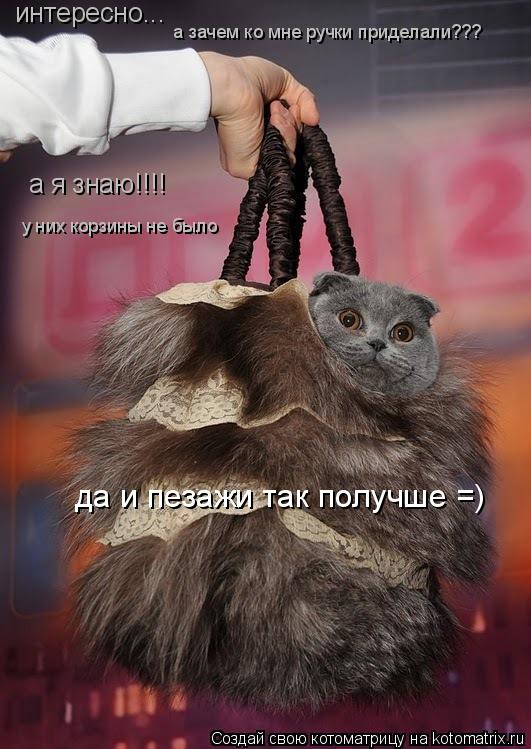 интересно... а зачем ко мне ручки приделали??? а я знаю!!!! у них корзины не было да и пезажи так пол... Котоматрица: интересно... а зачем ко мне ручки приделали??? а я знаю!!!! у них корзины не было да и пезажи так получше =)