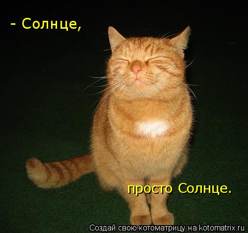- Солнце, просто Солнце.... Котоматрица: - Солнце, просто Солнце.