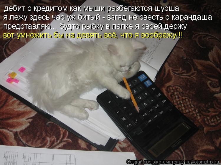 дебит с кредитом как мыши разбегаются шурша я лежу здесь час уж битый - взгяд не свесть с карандаша п... Котоматрица: дебит с кредитом как мыши разбегаются шурша я лежу здесь час уж битый - взгяд не свесть с карандаша представляю... будто рыбку в лапке я своей