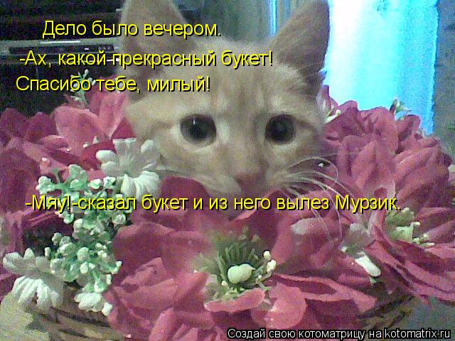Дело было вечером. -Ах, какой прекрасный букет! -Ах, какой прекрасный букет! Спасибо тебе, милый! -Мя... Котоматрица: Дело было вечером. -Ах, какой прекрасный букет! -Ах, какой прекрасный букет! Спасибо тебе, милый! -Мяу!-сказал букет и из него вылез Мурзик.