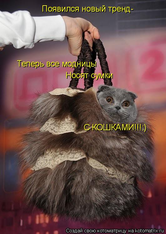 Появился новый тренд- Теперь все модницы Носят сумки С КОШКАМИ!!!:)... Котоматрица: Появился новый тренд- Теперь все модницы Носят сумки С КОШКАМИ!!!:)