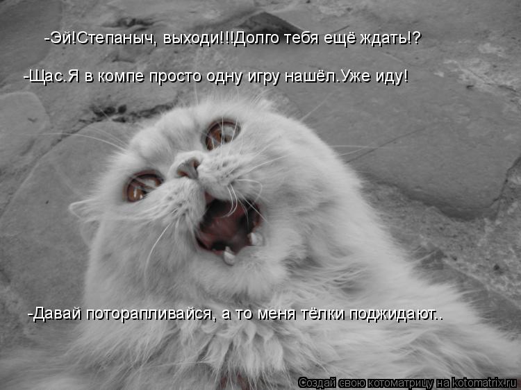 -Эй!Степаныч, выходи!!!Долго тебя ещё ждать!? -Щас.Я в компе просто одну игру нашёл.Уже иду! -Давай п... Котоматрица: -Эй!Степаныч, выходи!!!Долго тебя ещё ждать!? -Щас.Я в компе просто одну игру нашёл.Уже иду! -Давай поторапливайся, а то меня тёлки поджидают..