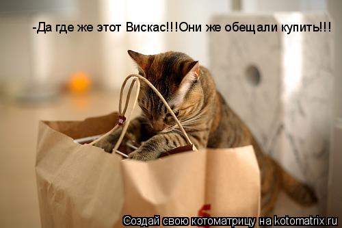 -Да где же этот Вискас!!!Они же обещали купить!!!... Котоматрица: -Да где же этот Вискас!!!Они же обещали купить!!!