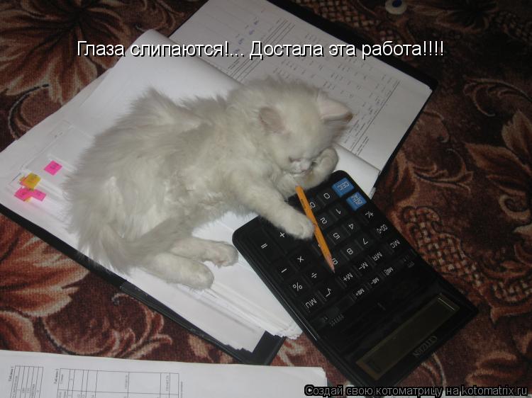 Глаза слипаются!... Достала эта работа!!!!... Котоматрица: Глаза слипаются!... Достала эта работа!!!!