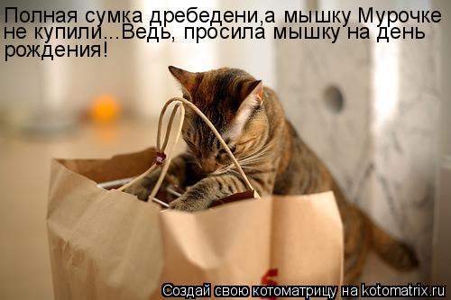Полная сумка дребедени,а мышку Мурочке не купили...Ведь, просила мышку на день рождения!... Котоматрица: Полная сумка дребедени,а мышку Мурочке не купили...Ведь, просила мышку на день рождения!