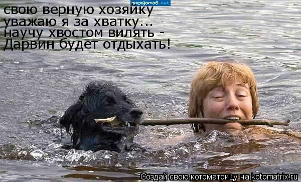 свою верную хозяйку уважаю я за хватку... научу хвостом вилять - Дарвин будет отдыхать!... Котоматрица: свою верную хозяйку уважаю я за хватку... научу хвостом вилять - Дарвин будет отдыхать!
