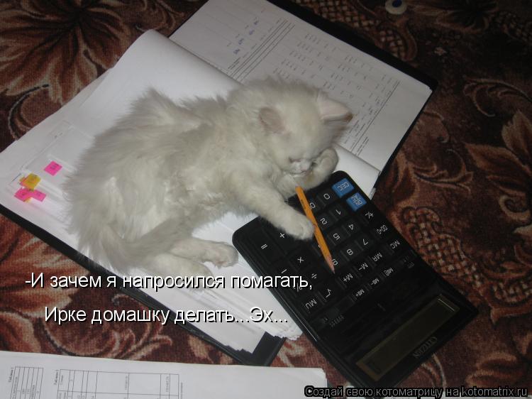 Котоматрица: -И зачем я напросился помагать, Ирке домашку делать...Эх...