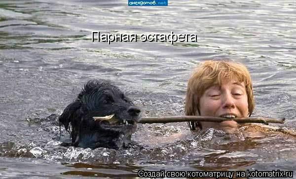 Парная эстафета... Котоматрица: Парная эстафета