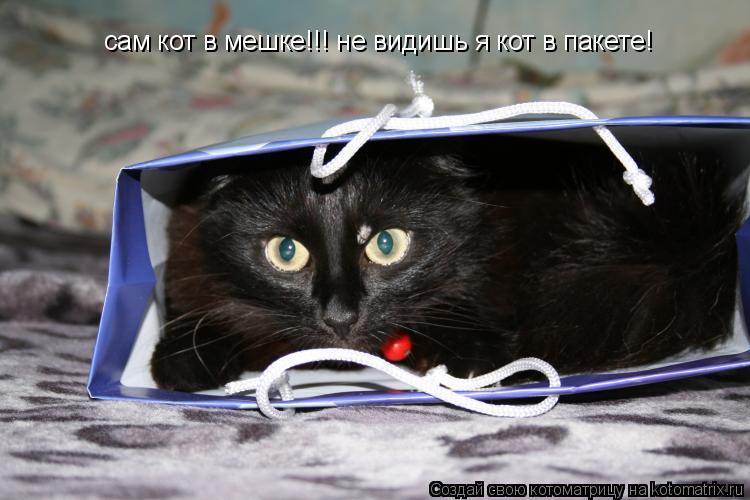 Котоматрица: сам кот в мешке!!! не видишь я кот в пакете!