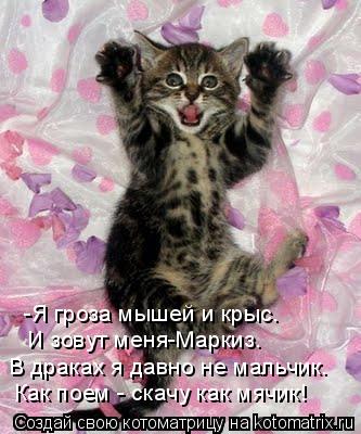 Котоматрица: -Я гроза мышей и крыс. И зовут меня-Маркиз. В драках я давно не мальчик. Как поем - скачу как мячик!