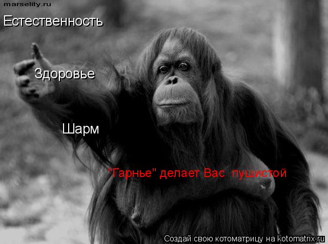 Естественность Шарм Здоровье "Гарнье" делает Вас пушистой... Котоматрица: Естественность Шарм Здоровье "Гарнье" делает Вас пушистой