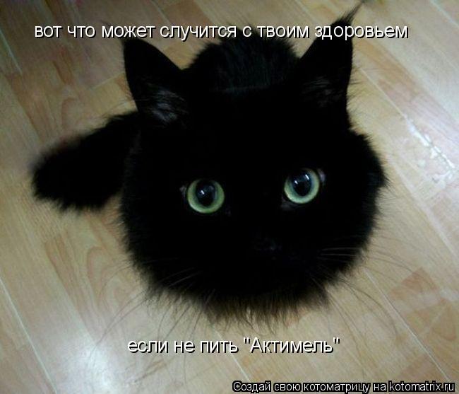 вот что может случится с твоим здоровьем вот что может случится с твоим здоровьем если не пить "Актим... Котоматрица: вот что может случится с твоим здоровьем вот что может случится с твоим здоровьем если не пить "Актимель"