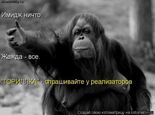 Имидж ничто. Жажда - все. "ГОРИЛЛКА" - спрашивайте у реализаторов... Котоматрица: Имидж ничто. Жажда - все. "ГОРИЛЛКА" - спрашивайте у реализаторов