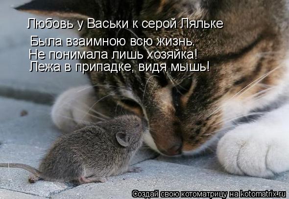 Котоматрица: Была взаимною всю жизнь. Не понимала лишь хозяйка! Лежа в припадке, видя мышь! Любовь у Васьки к серой Ляльке