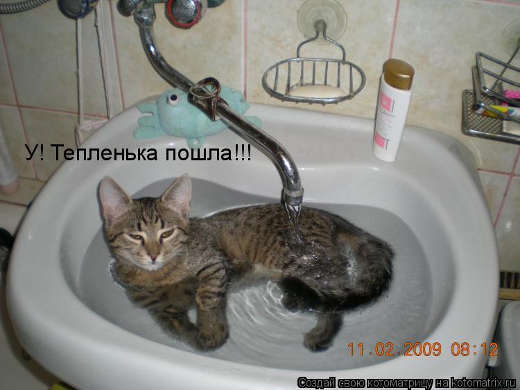 У! Тепленька пошла!!!... Котоматрица: У! Тепленька пошла!!!