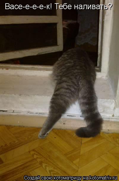 Васе-е-е-е-к! Тебе наливать?... Котоматрица: Васе-е-е-е-к! Тебе наливать?