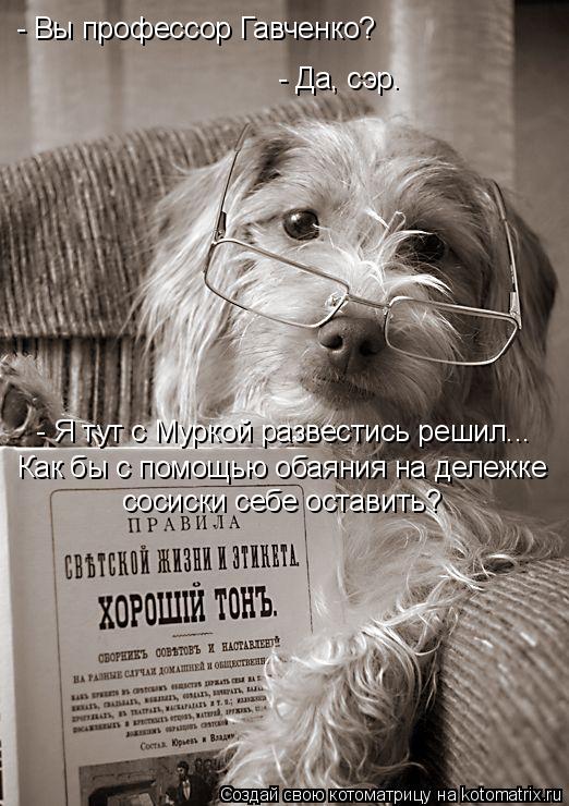 - Вы профессор Гавченко? - Да, сэр. - Я тут с Муркой развестись решил... Как бы с помощью обаяния на ... Котоматрица: - Вы профессор Гавченко? - Да, сэр. - Я тут с Муркой развестись решил... Как бы с помощью обаяния на дележке сосиски себе оставить?