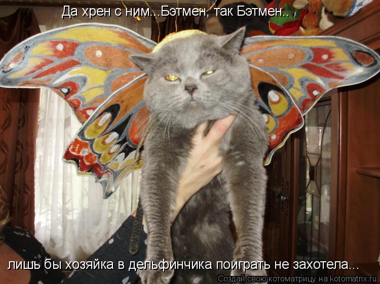 Да хрен с ним...Бэтмен, так Бэтмен.. лишь бы хозяйка в дельфинчика поиграть не захотела...... Котоматрица: Да хрен с ним...Бэтмен, так Бэтмен.. лишь бы хозяйка в дельфинчика поиграть не захотела...