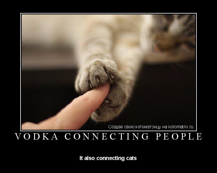 Котоматрица: Vodka connecting people It also connecting cats