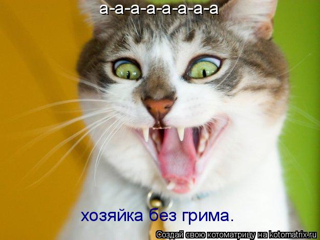 а-а-а-а-а-а-а-а хозяйка без грима.... Котоматрица: а-а-а-а-а-а-а-а хозяйка без грима.