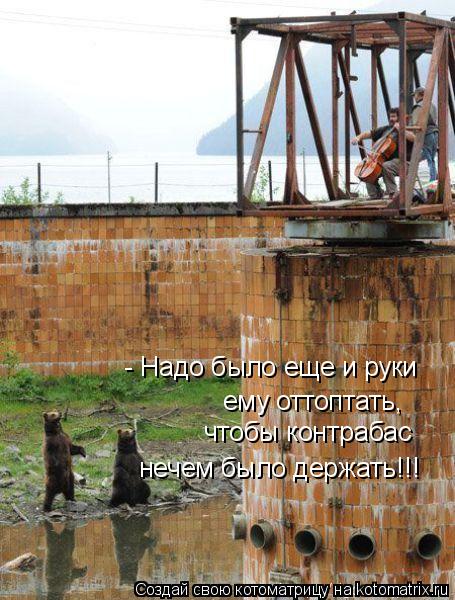 - Надо было еще и руки ему оттоптать, чтобы контрабас нечем было держать!!!... Котоматрица: - Надо было еще и руки ему оттоптать, чтобы контрабас нечем было держать!!!