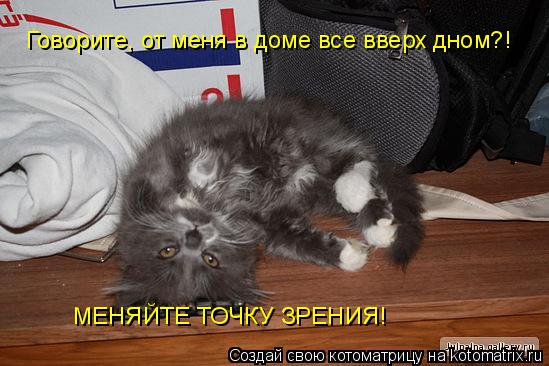 МЕНЯЙТЕ ТОЧКУ ЗРЕНИЯ! Говорите, от меня в доме все вверх дном?!... Котоматрица: МЕНЯЙТЕ ТОЧКУ ЗРЕНИЯ! Говорите, от меня в доме все вверх дном?!