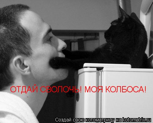ОТДАЙ СВОЛОЧЬ! МОЯ КОЛБОСА!... Котоматрица: ОТДАЙ СВОЛОЧЬ! МОЯ КОЛБОСА!