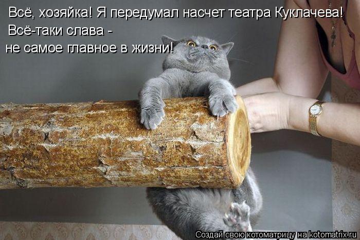 Котоматрица: Всё, хозяйка! Я передумал насчет театра Куклачева! Всё-таки слава -  не самое главное в жизни!