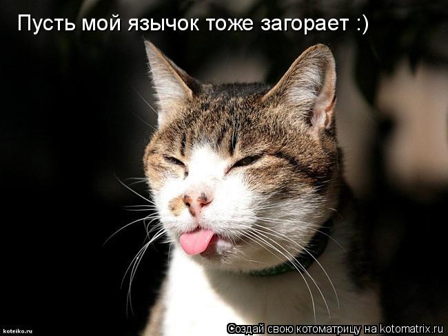 Пусть мой язычок тоже загорает :)... Котоматрица: Пусть мой язычок тоже загорает :)
