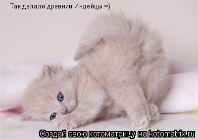 Так делали древнии Индейцы =)... Котоматрица: Так делали древнии Индейцы =)