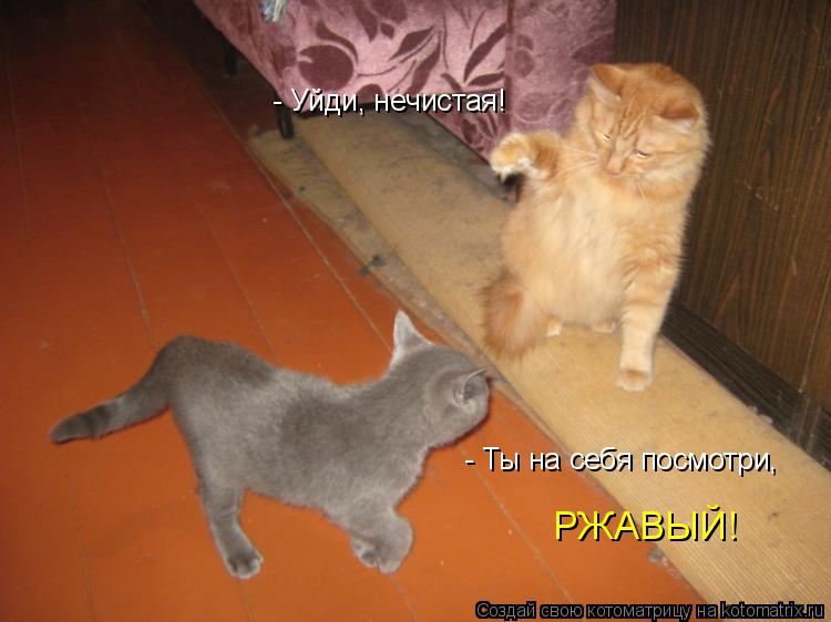 - Уйди, нечистая! - Ты на себя посмотри, РЖАВЫЙ!... Котоматрица: - Уйди, нечистая! - Ты на себя посмотри, РЖАВЫЙ!