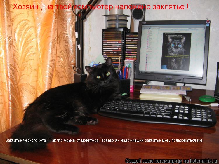 Хозяин , на твой компьютер наложено заклятье ! Заклятье чёрного кота ! Так что брысь от монитора , то... Котоматрица: Хозяин , на твой компьютер наложено заклятье ! Заклятье чёрного кота ! Так что брысь от монитора , только я - наложивший заклятье могу пользов