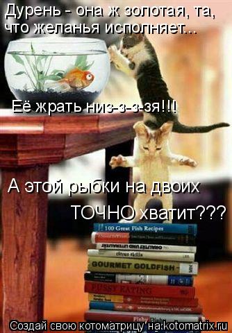 А этой рыбки на двоих ТОЧНО хватит??? Дурень - она ж золотая, та, что желанья исполняет... Её жрать ... Котоматрица: А этой рыбки на двоих ТОЧНО хватит??? Дурень - она ж золотая, та, что желанья исполняет... Её жрать низ-з-з-зя!!!