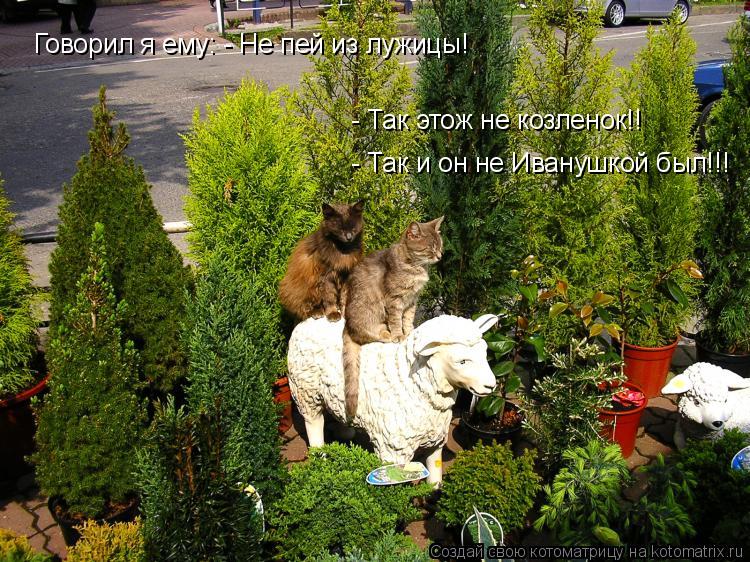 Говорил я ему: - Не пей из лужицы! - Так этож не козленок!! - Так и он не Иванушкой был!!!... Котоматрица: Говорил я ему: - Не пей из лужицы! - Так этож не козленок!! - Так и он не Иванушкой был!!!