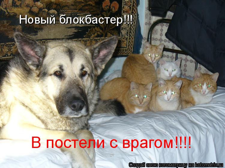 Новый блокбастер!!! В постели с врагом!!!!... Котоматрица: Новый блокбастер!!! В постели с врагом!!!!