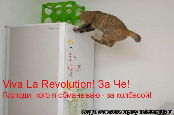Viva La Revolution! За Че! Господи, кого я обманываю - за колбасой!... Котоматрица: Viva La Revolution! За Че! Господи, кого я обманываю - за колбасой!