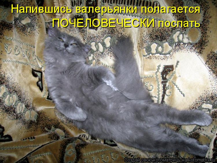 Напившись валерьянки полагается Напившись валерьянки полагается ПОЧЕЛОВЕЧЕСКИ поспать... Котоматрица: Напившись валерьянки полагается Напившись валерьянки полагается ПОЧЕЛОВЕЧЕСКИ поспать