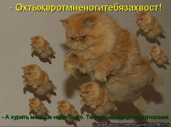 - Охтыжвротмненогитебязахвост! - А курить меньше надо было. Теперь наслаждайся глюками.... Котоматрица: - Охтыжвротмненогитебязахвост! - А курить меньше надо было. Теперь наслаждайся глюками.