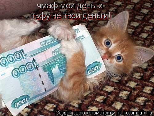чмаф мои деньги тьфу не твои деньги! тьфу не твои деньги! чмаф мои деньги... Котоматрица: чмаф мои деньги тьфу не твои деньги! тьфу не твои деньги! чмаф мои деньги