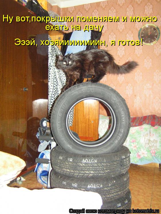 Ну вот,покрышки поменяем и можно ехать на дачу Эээй, хозяиииииииин, я готов!... Котоматрица: Ну вот,покрышки поменяем и можно ехать на дачу Эээй, хозяиииииииин, я готов!