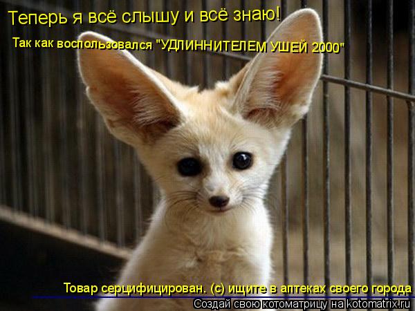 Теперь я всё слышу и всё знаю! Так как воспользовался "УДЛИННИТЕЛЕМ УШЕЙ 2000" Товар серцифицирован. ... Котоматрица: Теперь я всё слышу и всё знаю! Так как воспользовался "УДЛИННИТЕЛЕМ УШЕЙ 2000" Товар серцифицирован. (с) ищите в аптеках своего города ______________