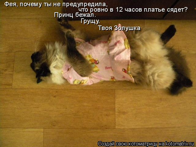 Фея, почему ты не предупредила, что ровно в 12 часов платье сядет? Принц бежал. Грущу. Твоя З... Котоматрица: Фея, почему ты не предупредила, что ровно в 12 часов платье сядет? Принц бежал. Грущу. Твоя Золушка