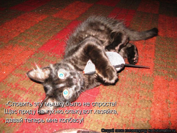 -Словить эту мышку было не спроста! Щас приду на кухню,скажу,вот хазяйка, давай теперь мне колбасу!... Котоматрица: -Словить эту мышку было не спроста! Щас приду на кухню,скажу,вот хазяйка, давай теперь мне колбасу!